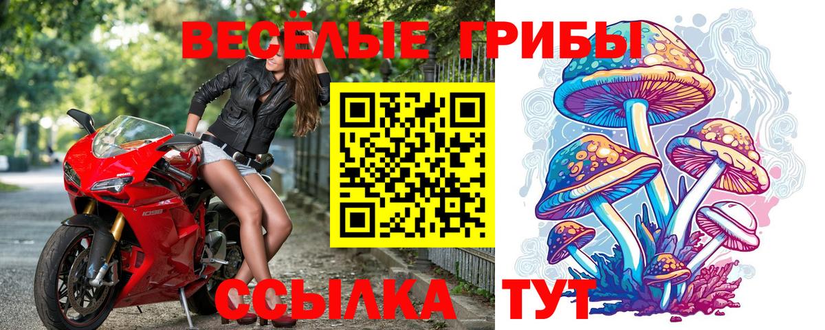 Псилоцибиновые грибы мухоморы Дятьково