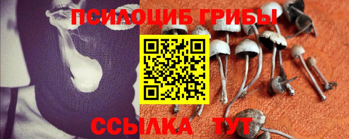Псилоцибиновые грибы Psilocybe  Псилоцибиновые грибы мухоморы  Вход с VPN  Дятьково 